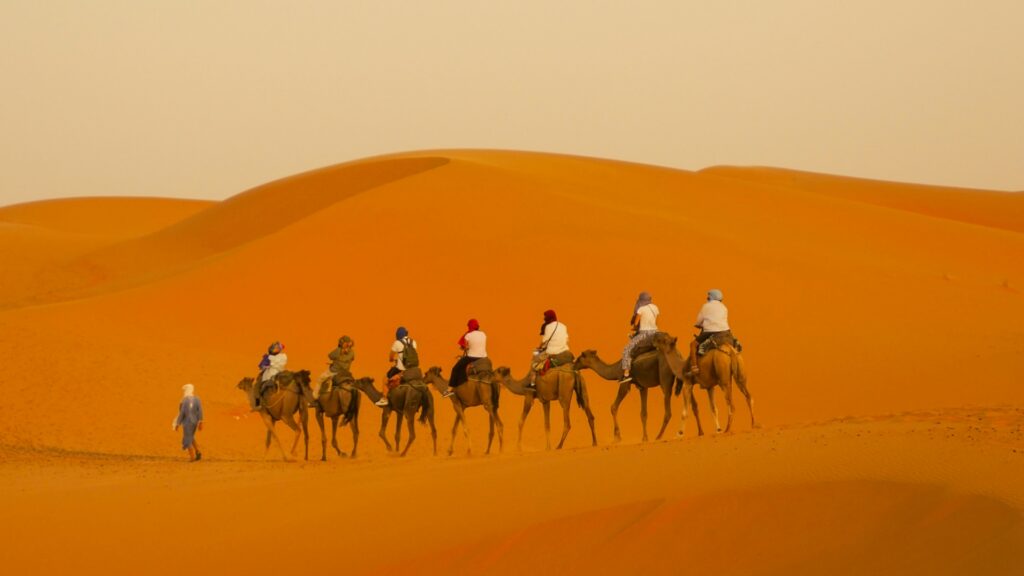 Experiencia en camello en el desierto del Sahara en Marruecos