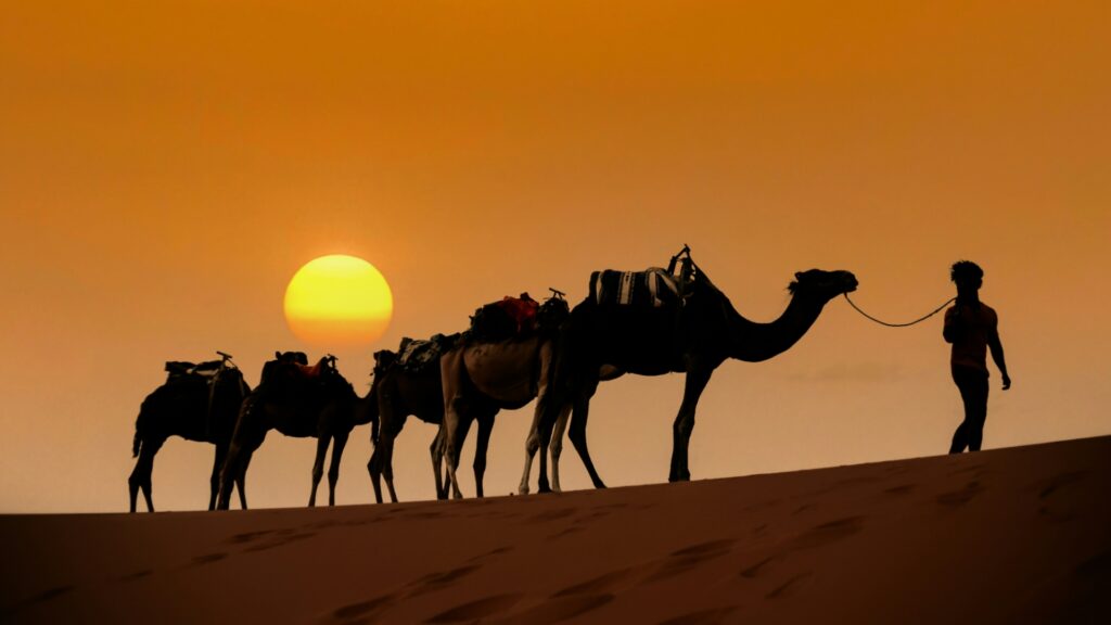 Aventura en el desierto de Marruecos, tour al desierto de Merzouga y rutas por Marruecos