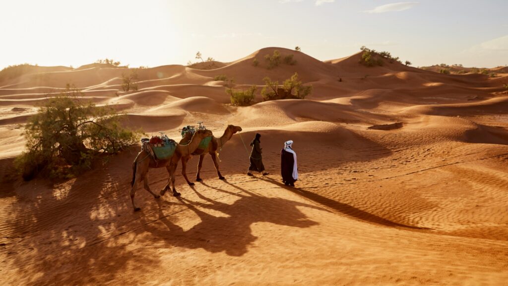 Dunas del desierto de Marruecos en el Sahara con paseo en camello al atardecer.