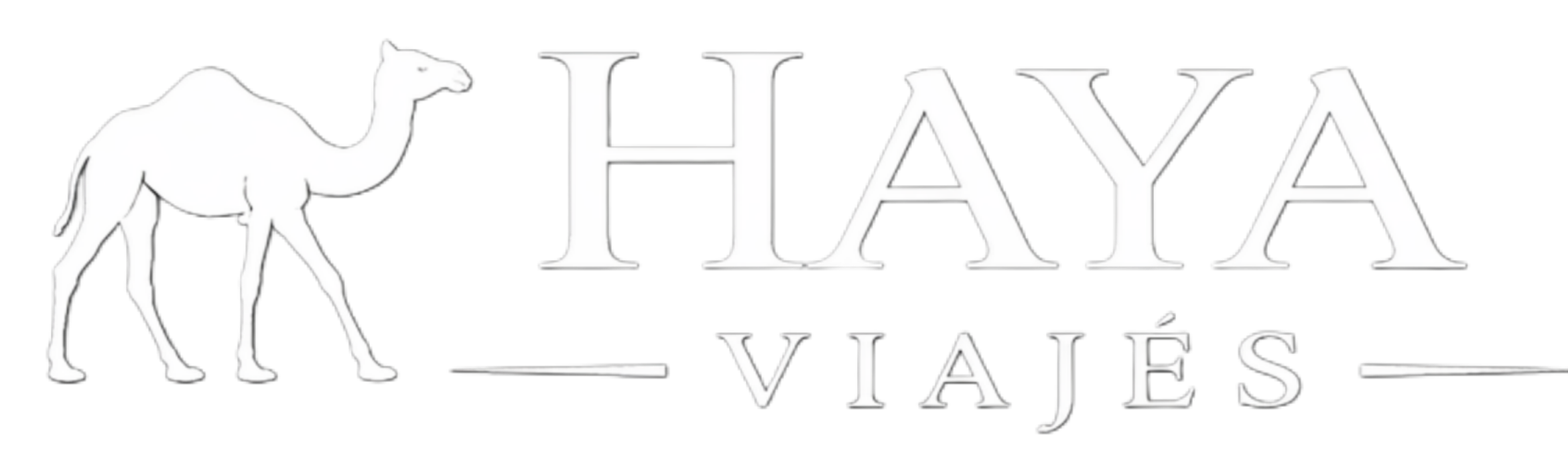 haya viajes logo