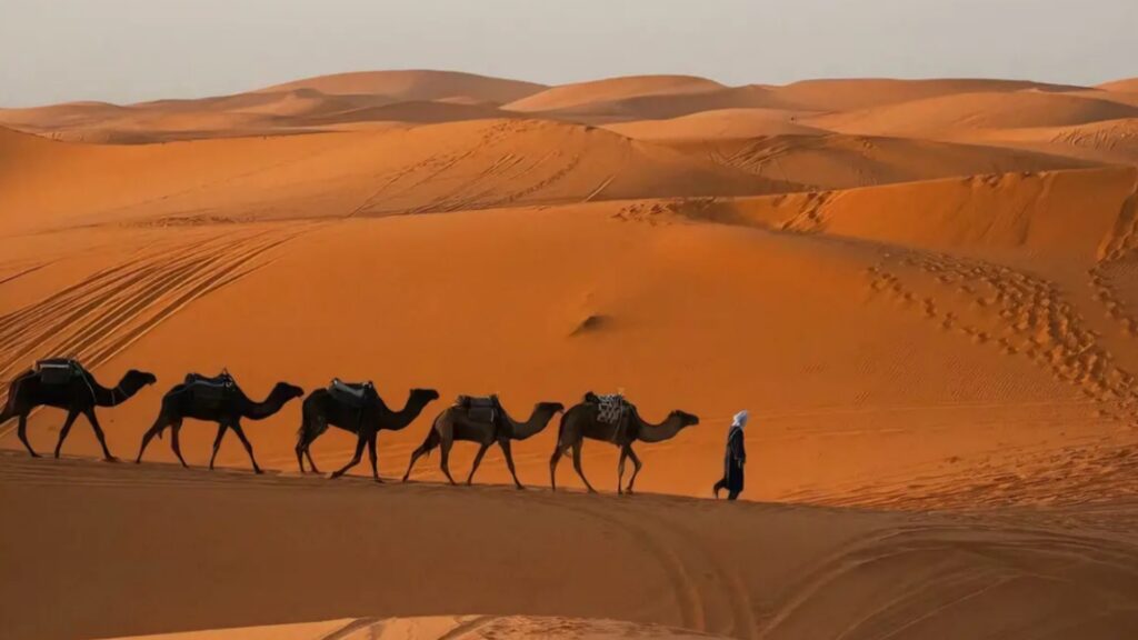 Ruta de 3 días de Fez a Marrakech por el Merzouga