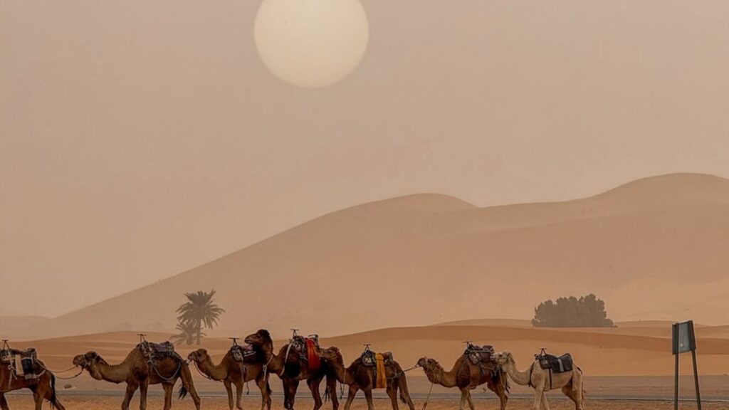 Amanecer en las dunas del desierto de Merzouga, siluetas de camellos en la arena dorada, campamento de lujo con hoguera bereber.