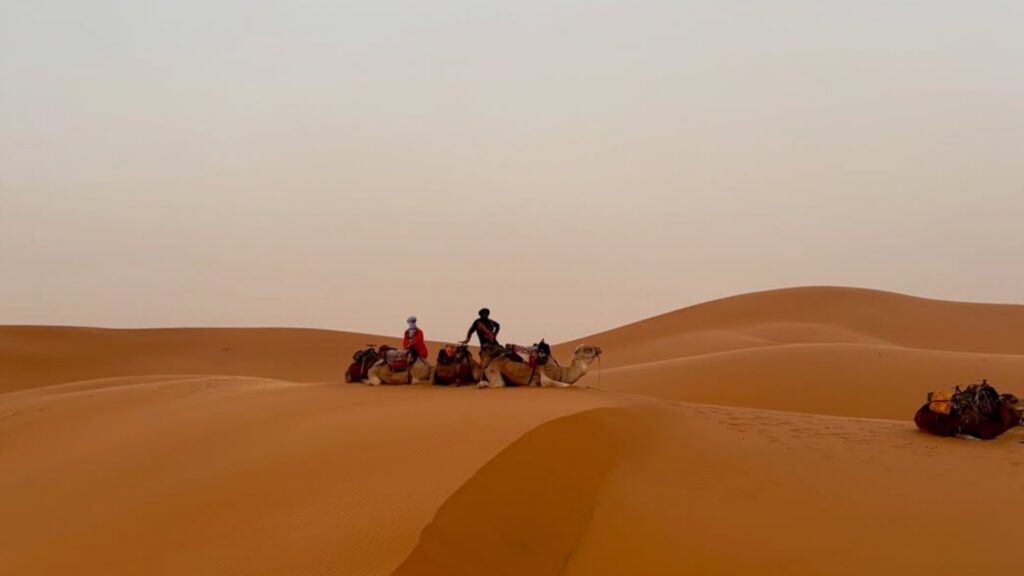 Campamento de lujo en el desierto de Merzouga con tiendas equipadas y cena bajo las estrellas, experiencia exclusiva en tours en Marruecos.