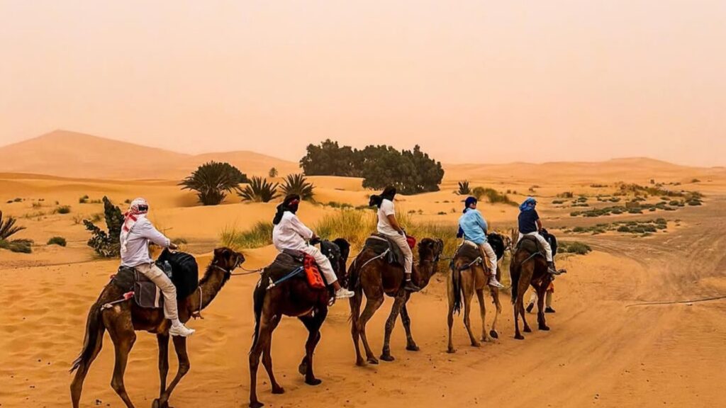 Caravana de camellos recorriendo las altas dunas naranjas de Merzouga en el desierto del Sáhara al atardecer. Reserva tu tour al desierto de Merzouga con Haya Viajes.