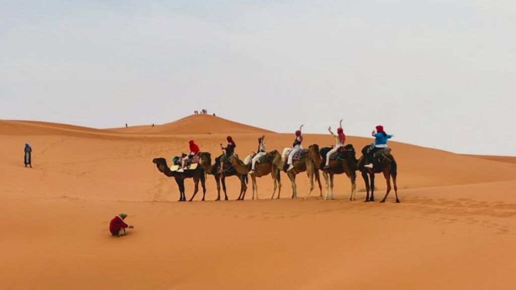 Paseo en camello en el desierto del Sahara Marruecos entre dunas doradas durante una experiencia tradicional