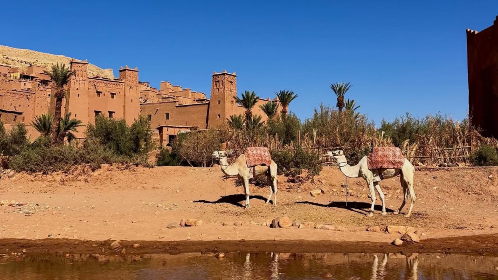 Vista panorámica de la kasbah de Ait Ben Haddou desde la colina con el valle del río Ounila. Descubre este Patrimonio de la Humanidad en tu circuito por Marruecos con Haya Viajes.