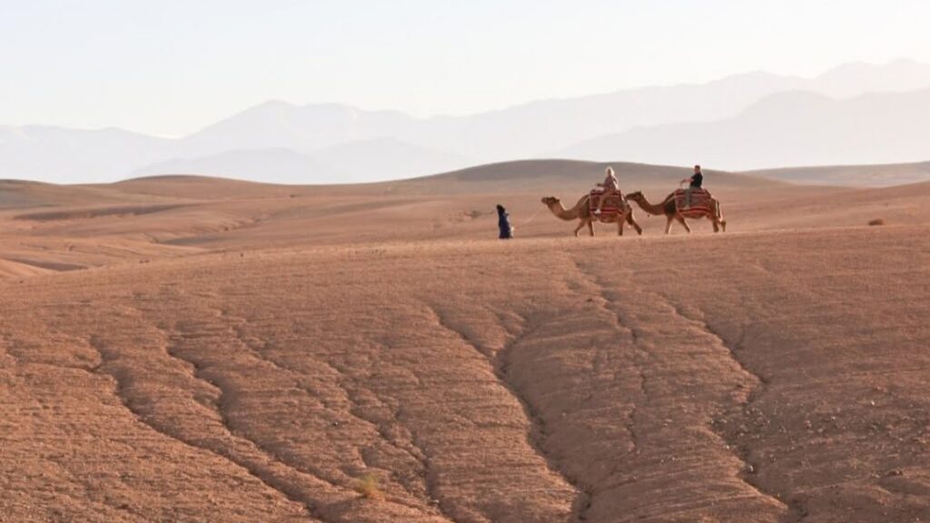 Camellero bereber guiando un camello por los senderos del desierto de Agafay con el Alto Atlas nevado al fondo. Reserva tus excursiones desde Marrakech con Haya Viajes.