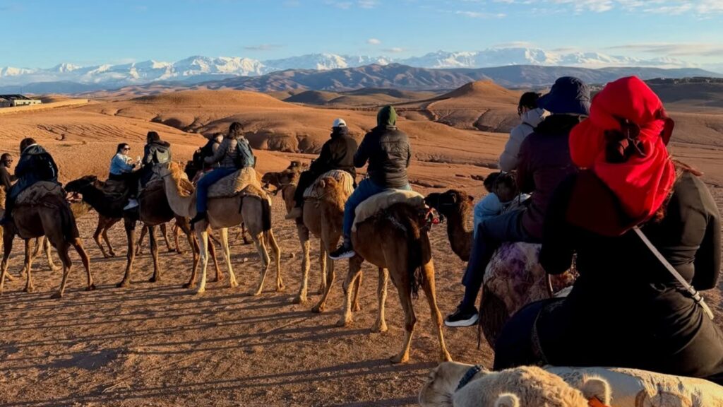 Paseo en camello por las colinas del desierto de Agafay con el sol poniéndose detrás de las montañas del Atlas. Reserva tus excursiones desde Marrakech con Haya Viajes.