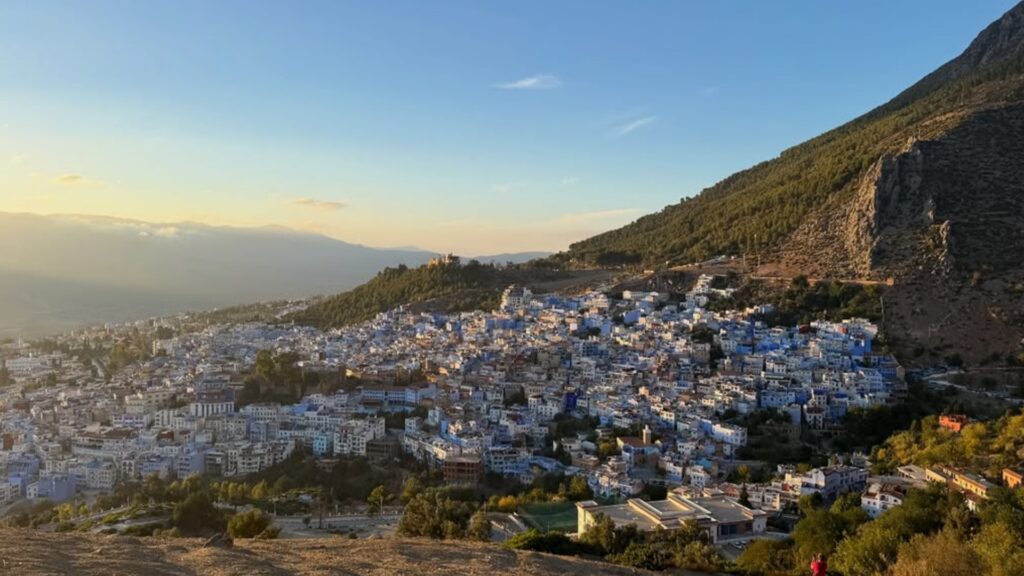 Callejón estrecho y empinado en Chefchaouen con fachadas azules, macetas y un gato descansando en los escalones. Descubre este rincón único en tu circuito por Marruecos con Haya Viajes.