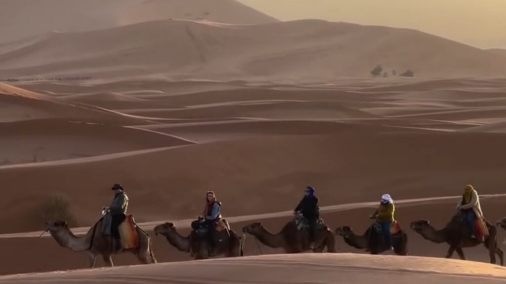 Paseo en camello por el desierto de Marruecos entre las dunas del Sahara, experiencia imprescindible en tours al desierto de Merzouga